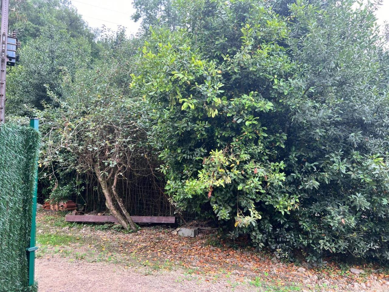 Ostello Erletxe Aterpea Lezo Esterno foto